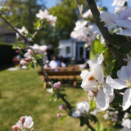 B&B De Koffietuin บีคแบร์เกิน ภายนอก รูปภาพ