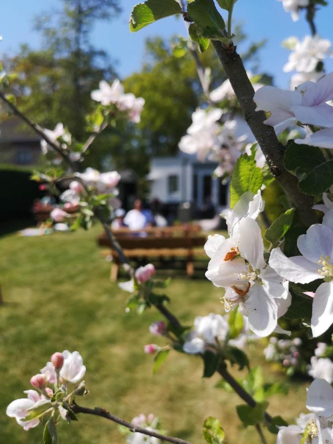 B&B De Koffietuin บีคแบร์เกิน ภายนอก รูปภาพ